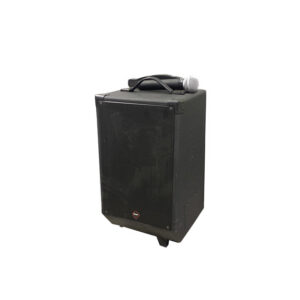 Geluidsset met draadloze microfoon