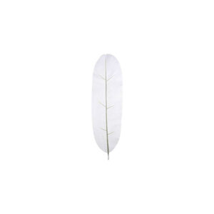 Kunstblad | Bananen blad wit L80