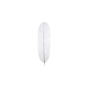 Kunstblad | Bananen blad wit L80