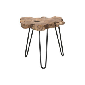 Eco Chique bijzettafel boomstam tafelblad met metalen poten Ø50xH40