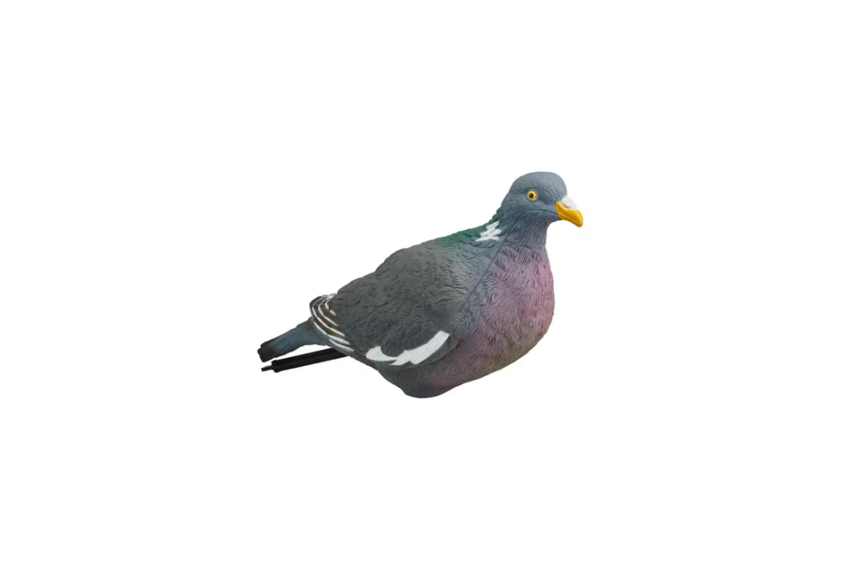Deco | Pigeon