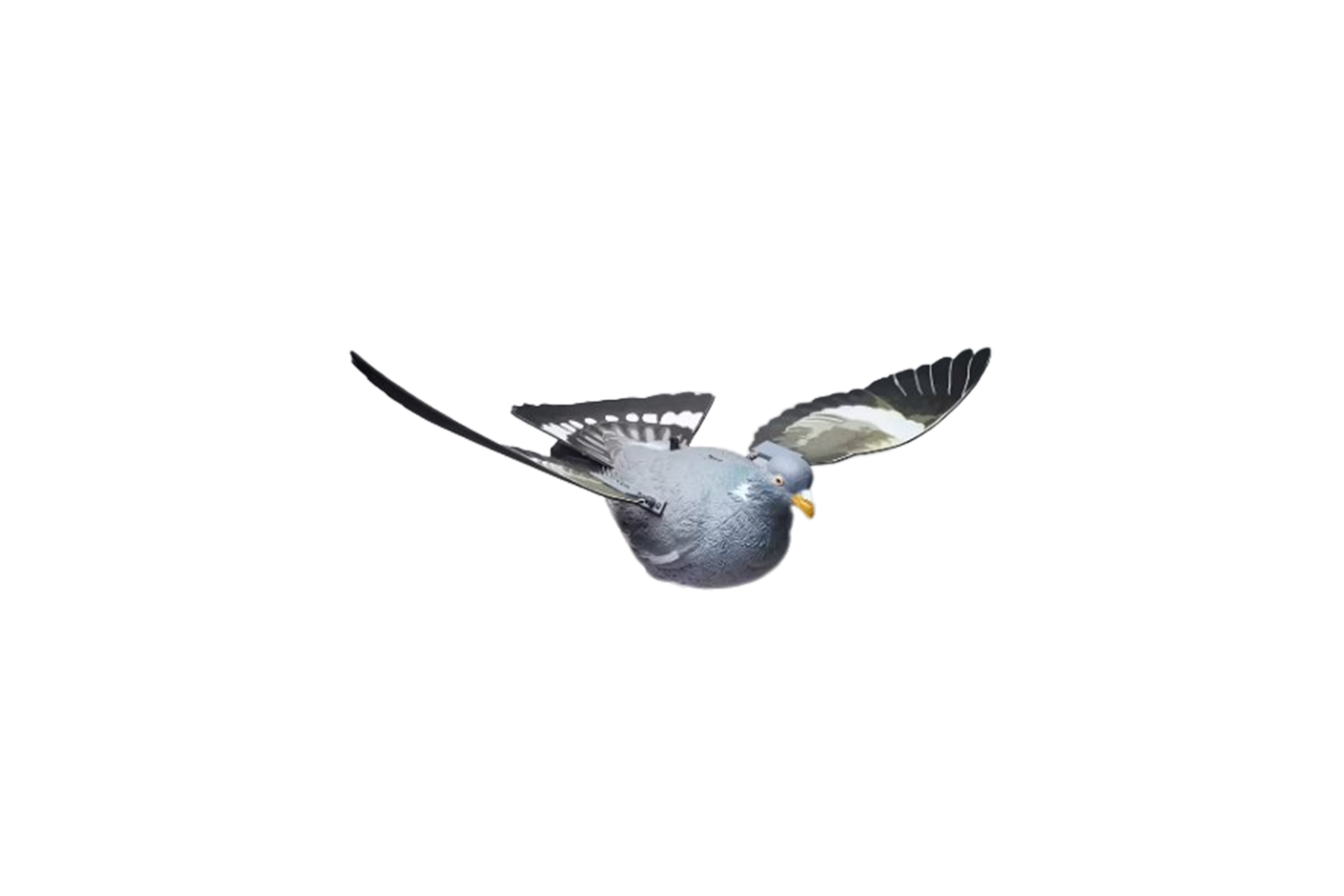Deco | Pigeon