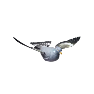 Deco | Flapperende duif