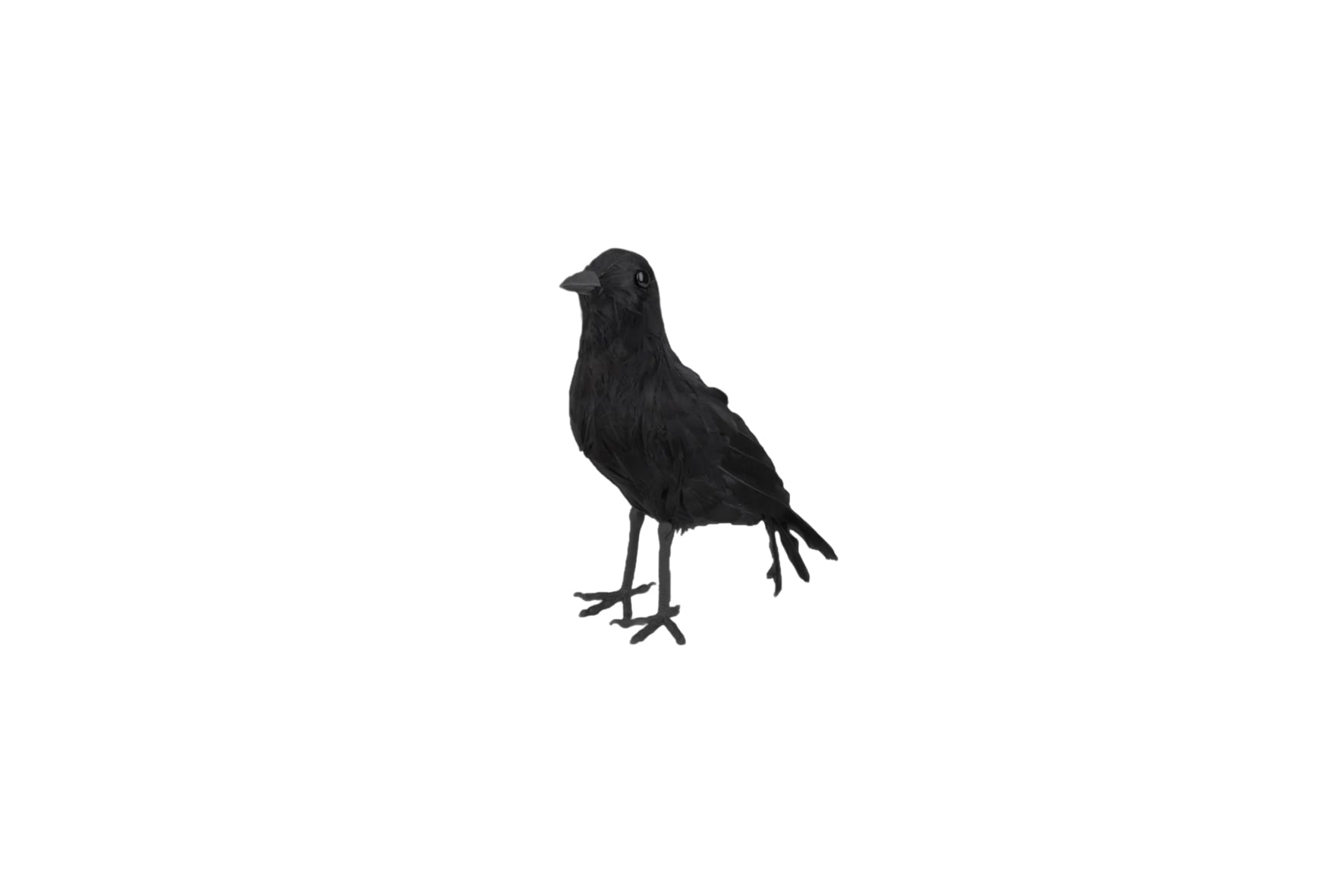 Deco | Black raven