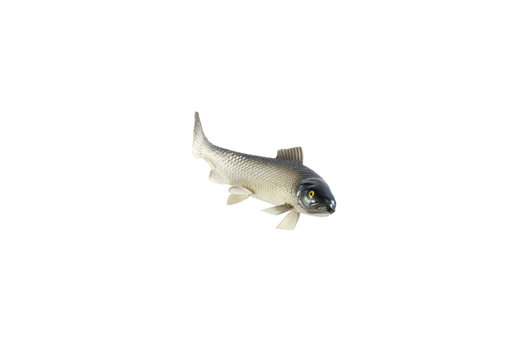 Decor | Fish sea bass L19