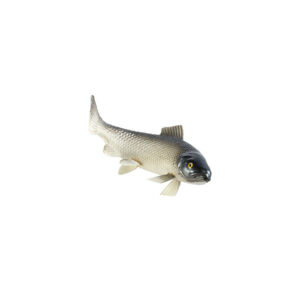 Deco | Vis zeebaars L19