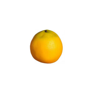 Deco | Sinaasappel Ø8