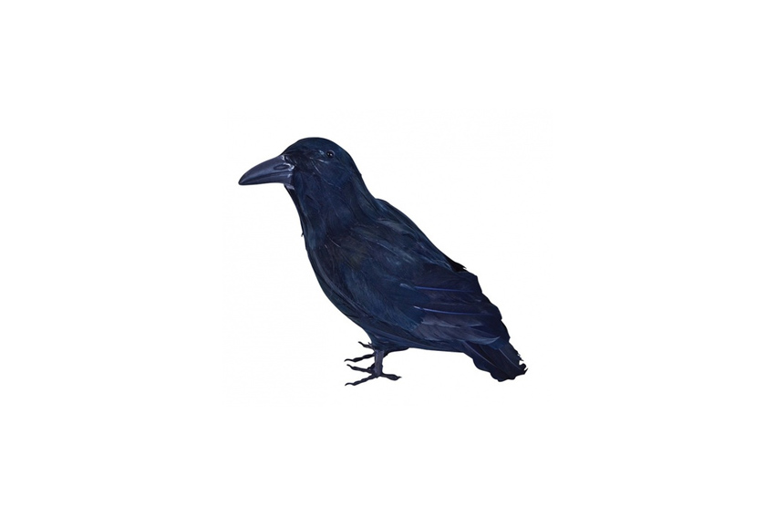 Deco | Black raven