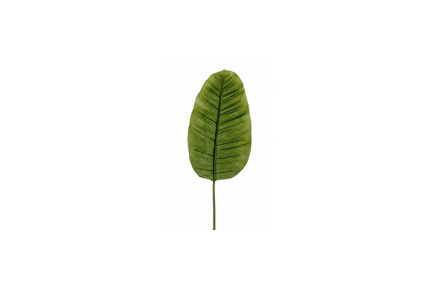 Banana leafs - p/p
