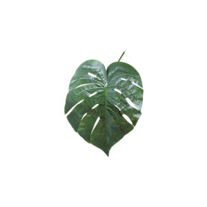 Kunstblad | Monstera L40