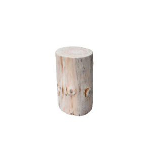 Eco Chique side table tree trunk fine Ø30/35xH50