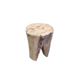 Eco Chique teak stool tree trunk Ø30xH40