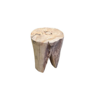 Eco Chique teak kruk boomstam Ø30xH40