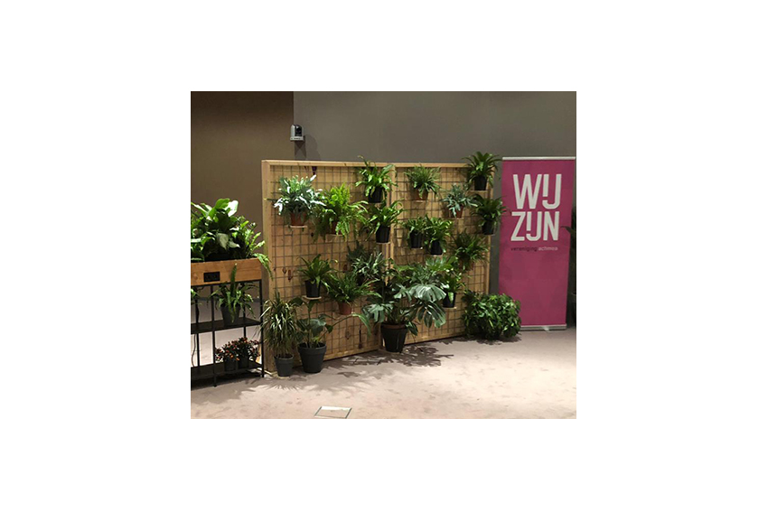 Eco Chique divider L155xH200 excl. Plants