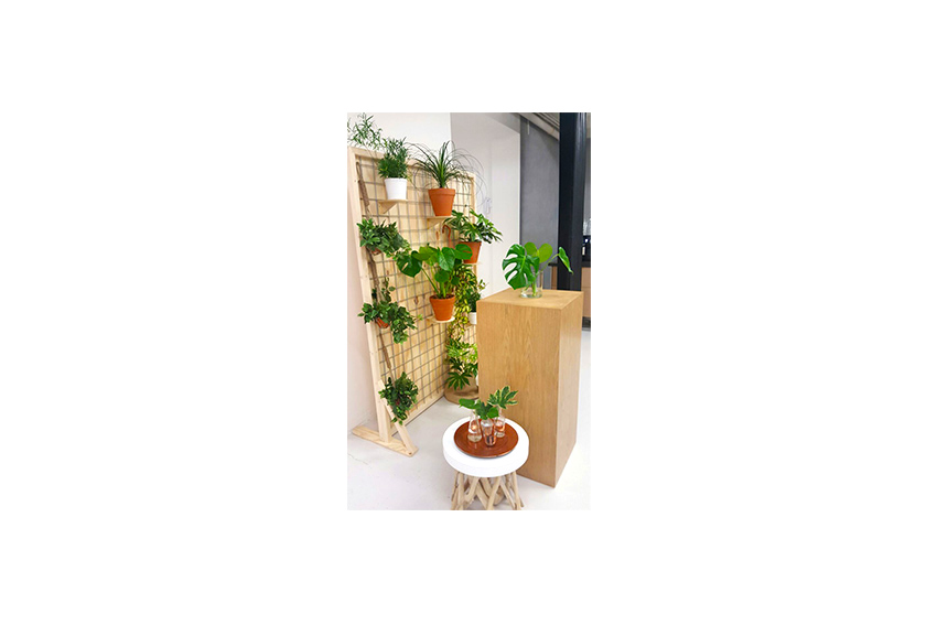 Eco Chique divider L155xH200 excl. Plants