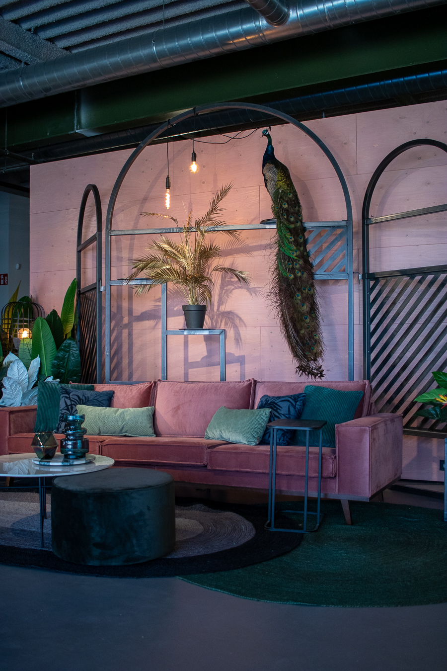 Deco | Opgezette pauw ** kwetsbaar ** H175