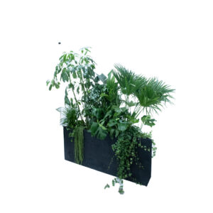 Kaapstad plantenbak driehoek - incl. planten L200xB97,5xH80