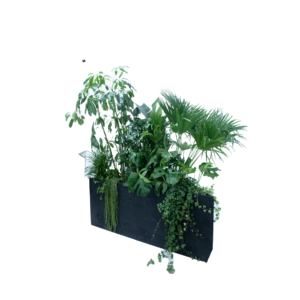 Kaapstad plantenbak driehoek - incl. planten L200xB97,5xH80