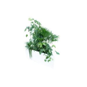 Kopenhagen plantenbak driehoek - incl. planten L200xB97,5xH80
