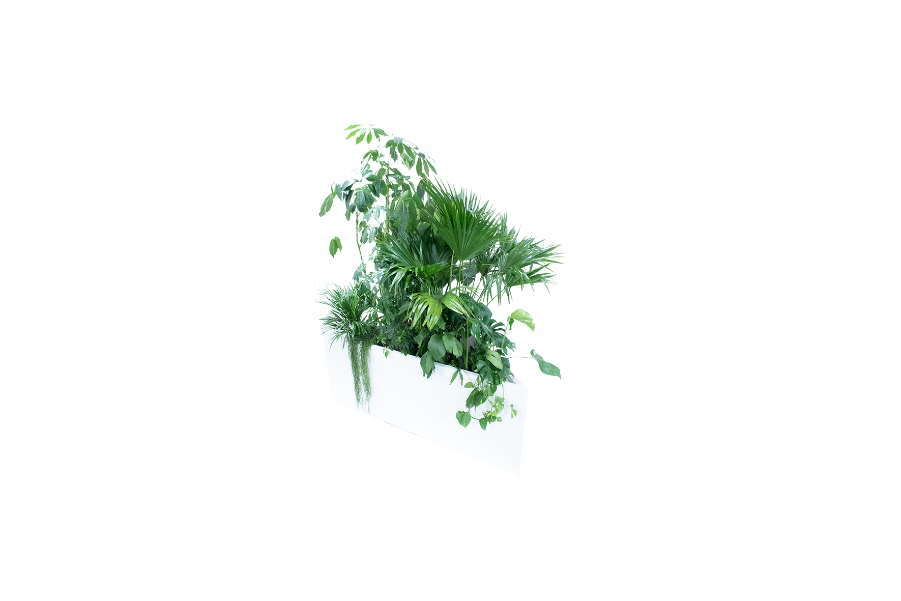 Kopenhagen plantenbak driehoek - incl. planten L200xB97,5xH80