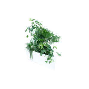 Kopenhagen plantenbak driehoek - incl. planten L200xB97,5xH80