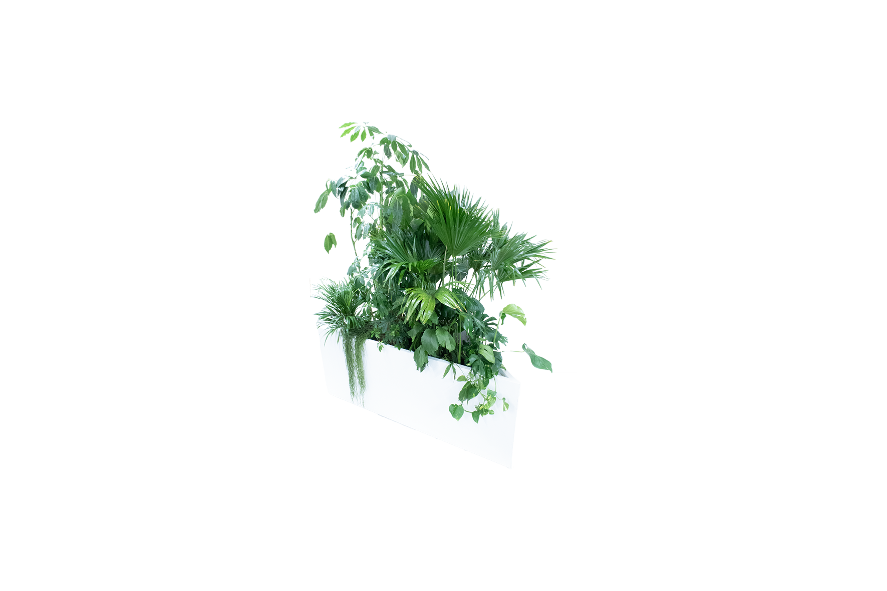 Kopenhagen plantenbak driehoek - incl. planten L200xB97,5xH80
