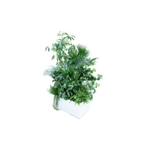 Kopenhagen plantenbak vliegervorm - incl. planten L141xB100xH40