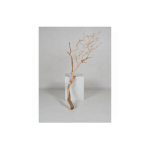 Kunst tak | Manzanita sandblasted L120