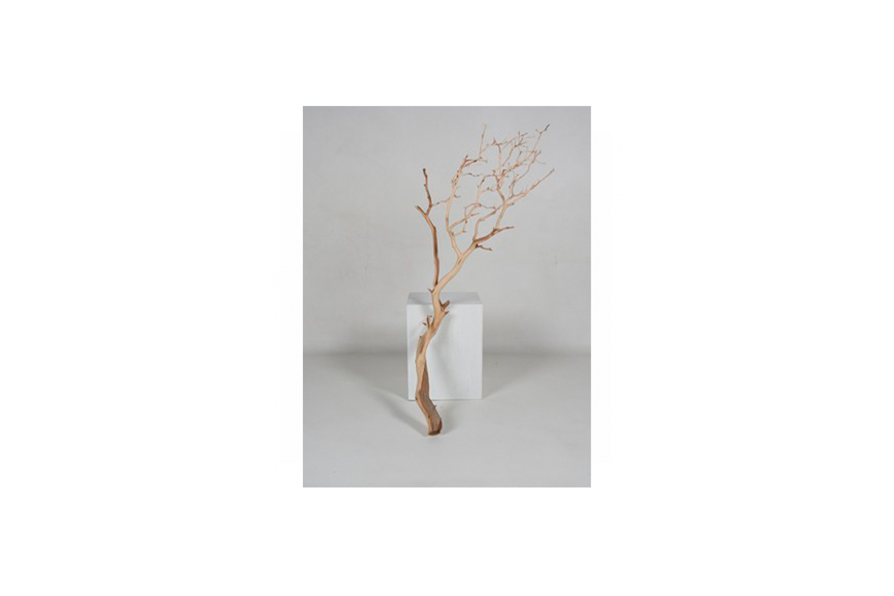 Kunst tak | Manzanita sandblasted L120
