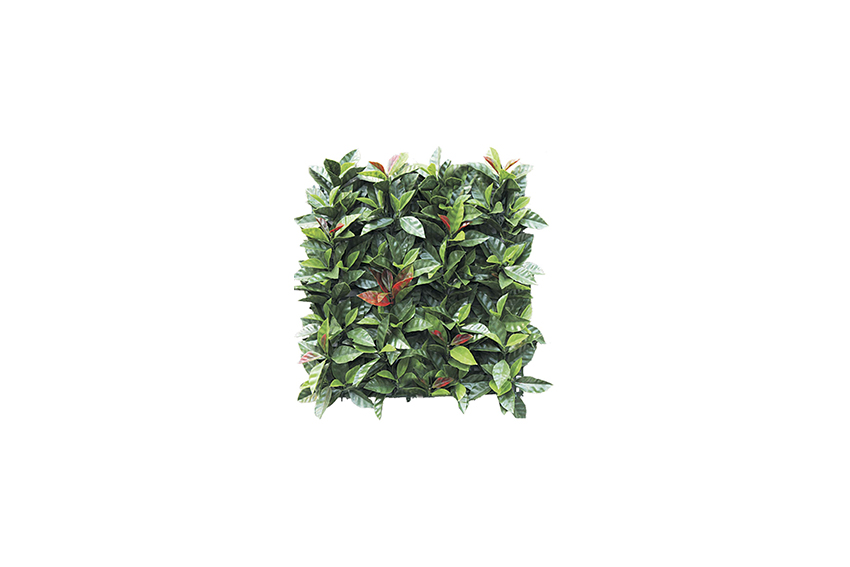 Kunstplant | Haag paneel groen Photinia rood L50xB50