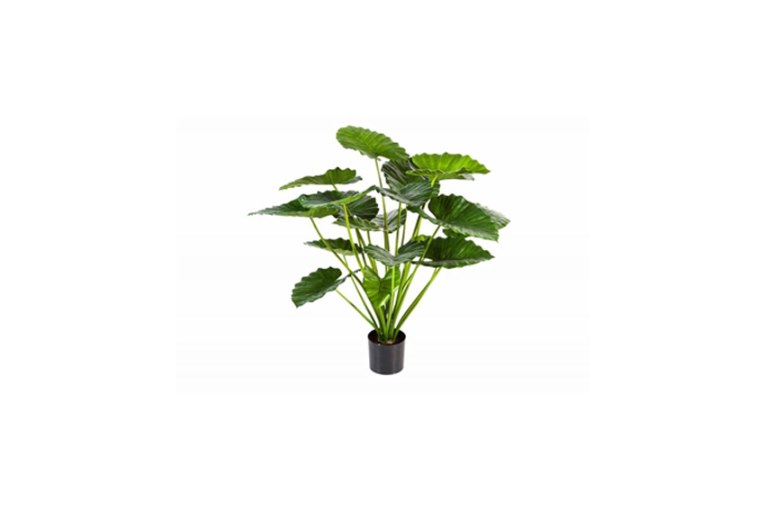 Artificial plant | Alocasia Calidora 60
