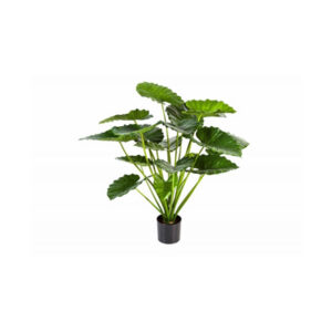 Kunstplant | Alocasia H60