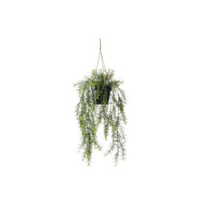 Kunstplant | Asparagus hangplant H50