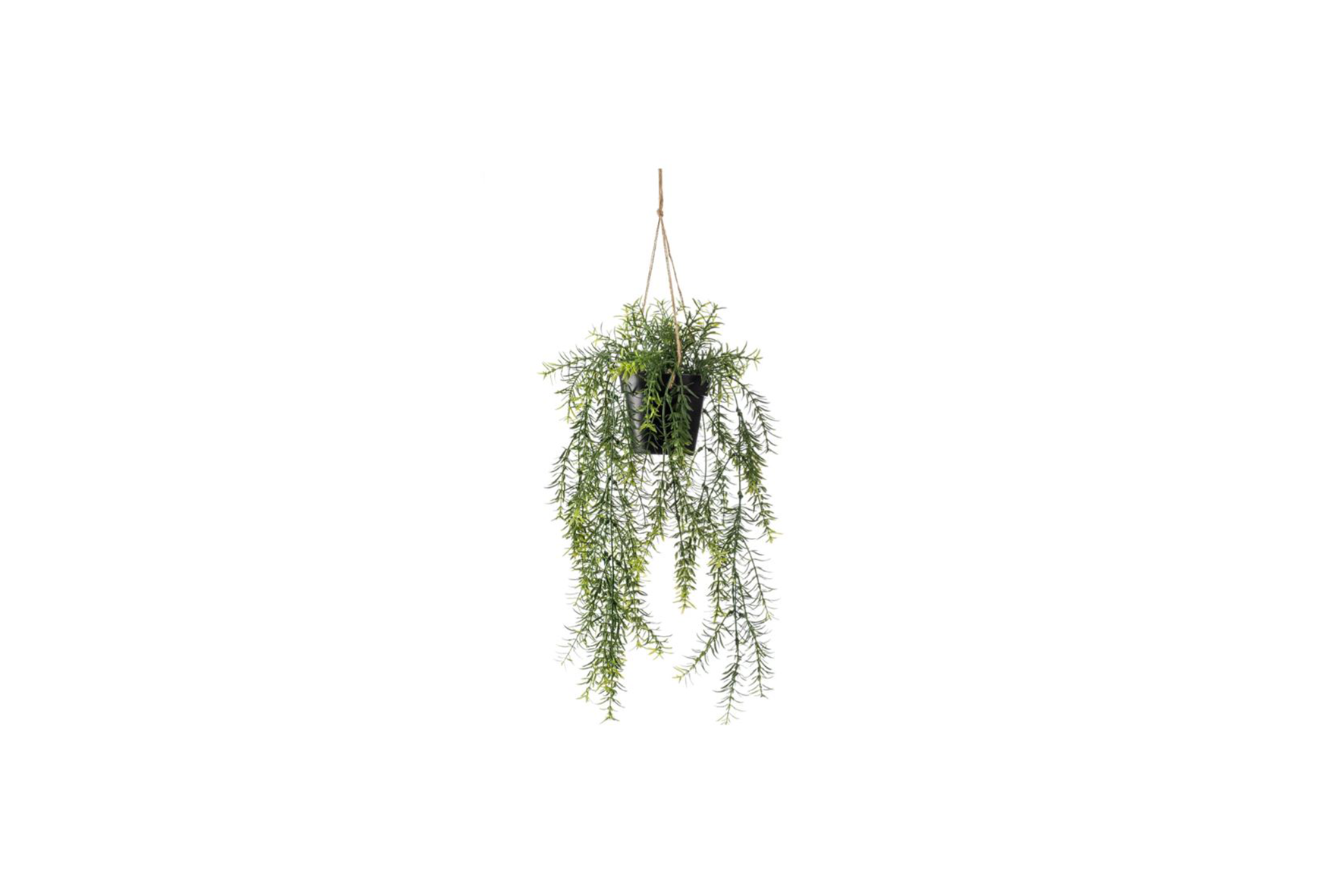 Artificial plant | Asparagus hanging plant H50
