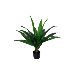 Kunstplant | Dracena H80