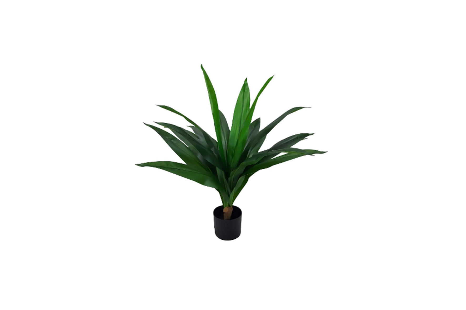 Kunstplant | Dracena H80