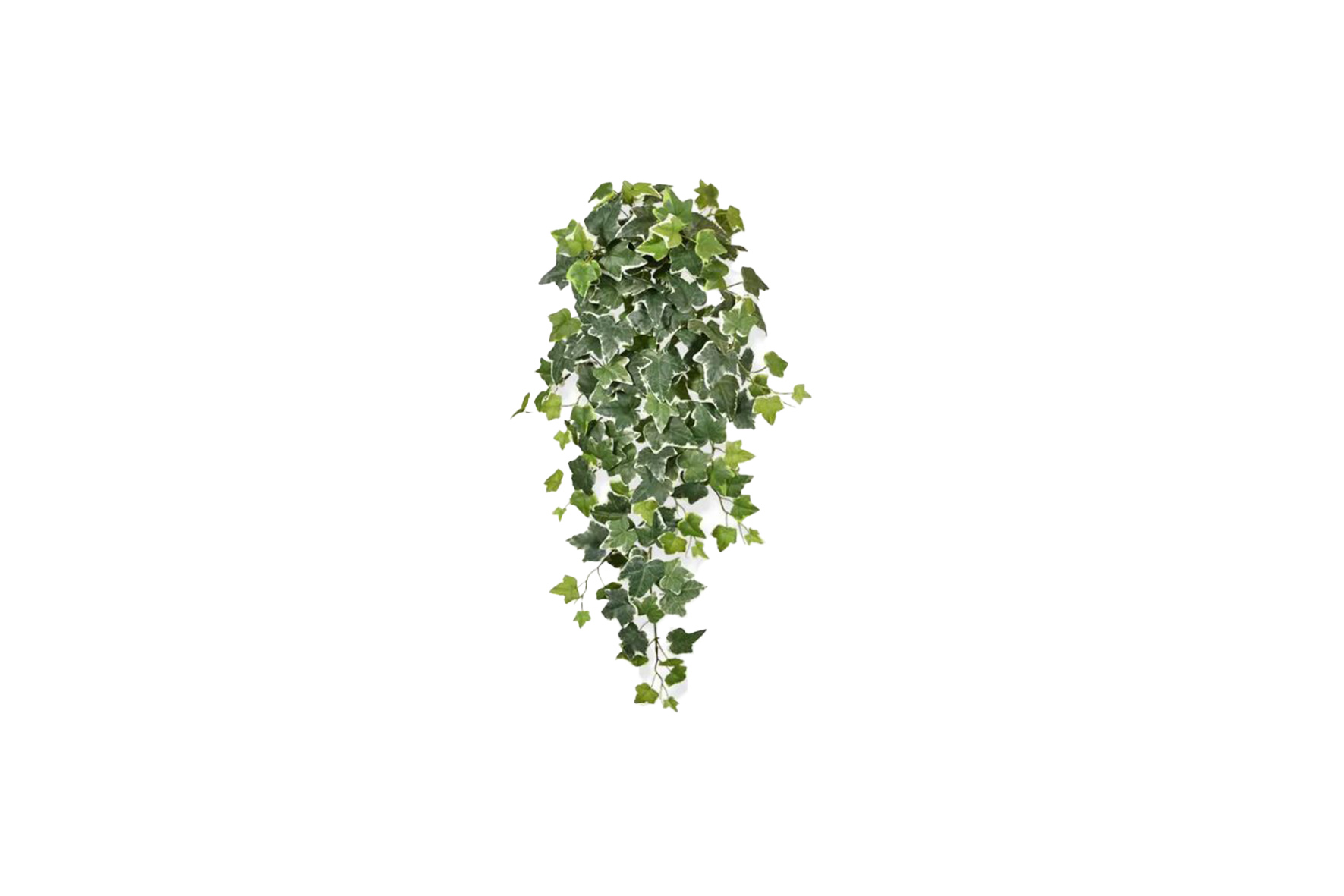 Artificial plant | Hedera hanging plant 75 cm