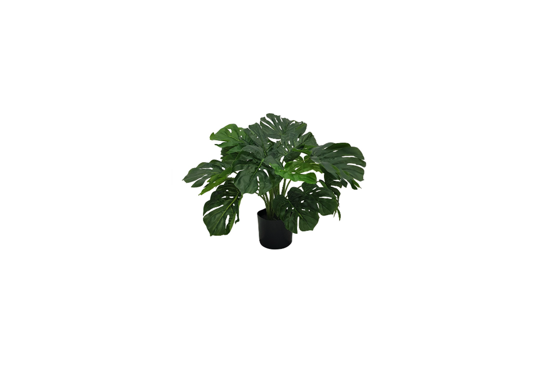 Artificial plant | Monstera H60