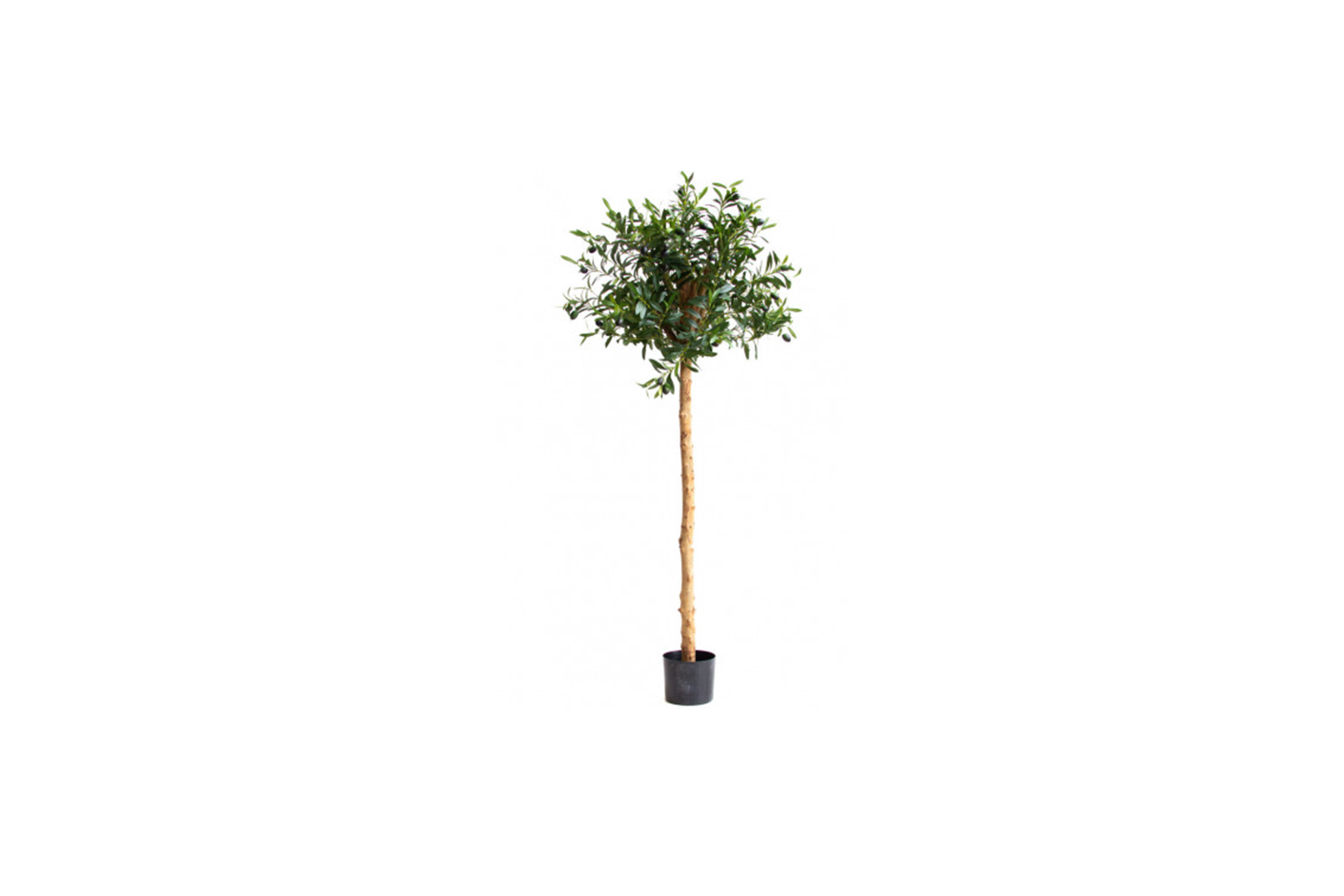 Artificial plant | Olive Tree H152