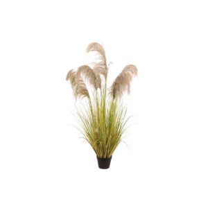 Kunstplant | Pampasgras H150