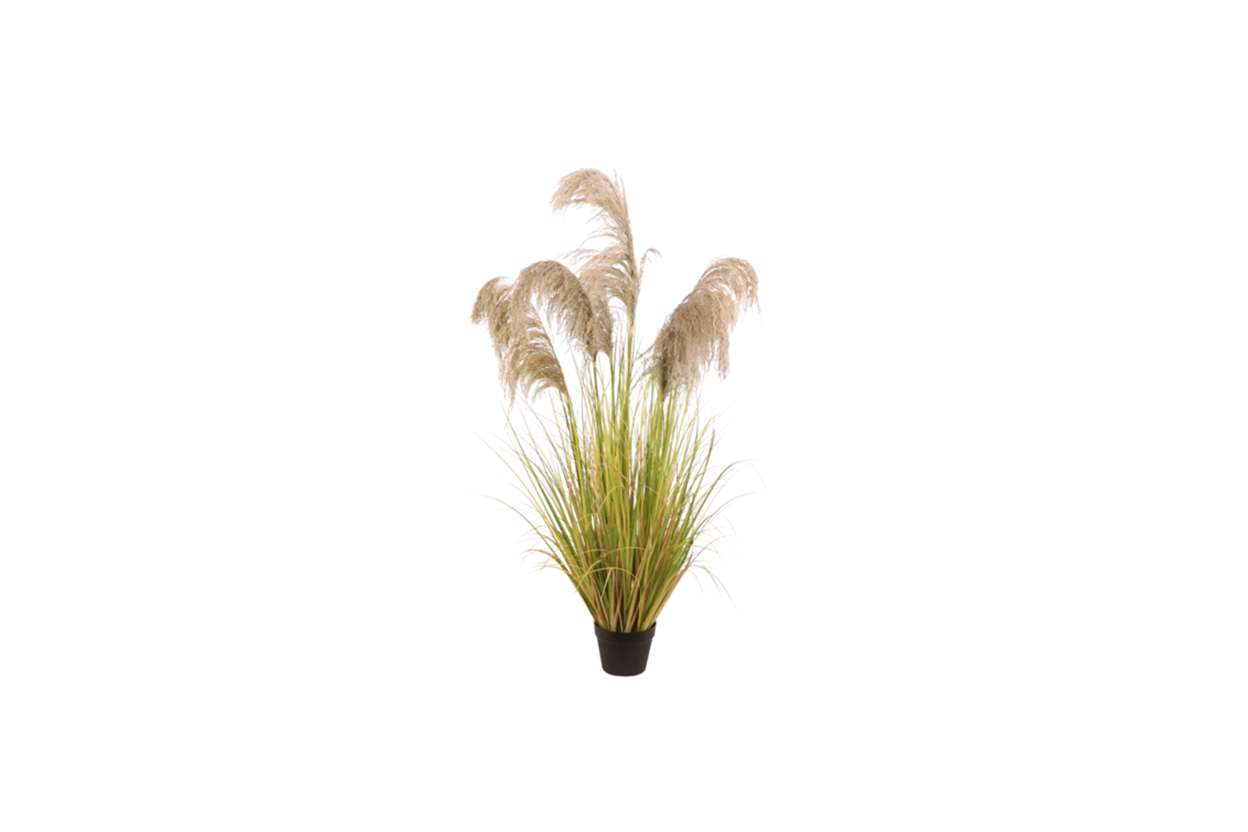 Kunstplant | Pampasgras H150