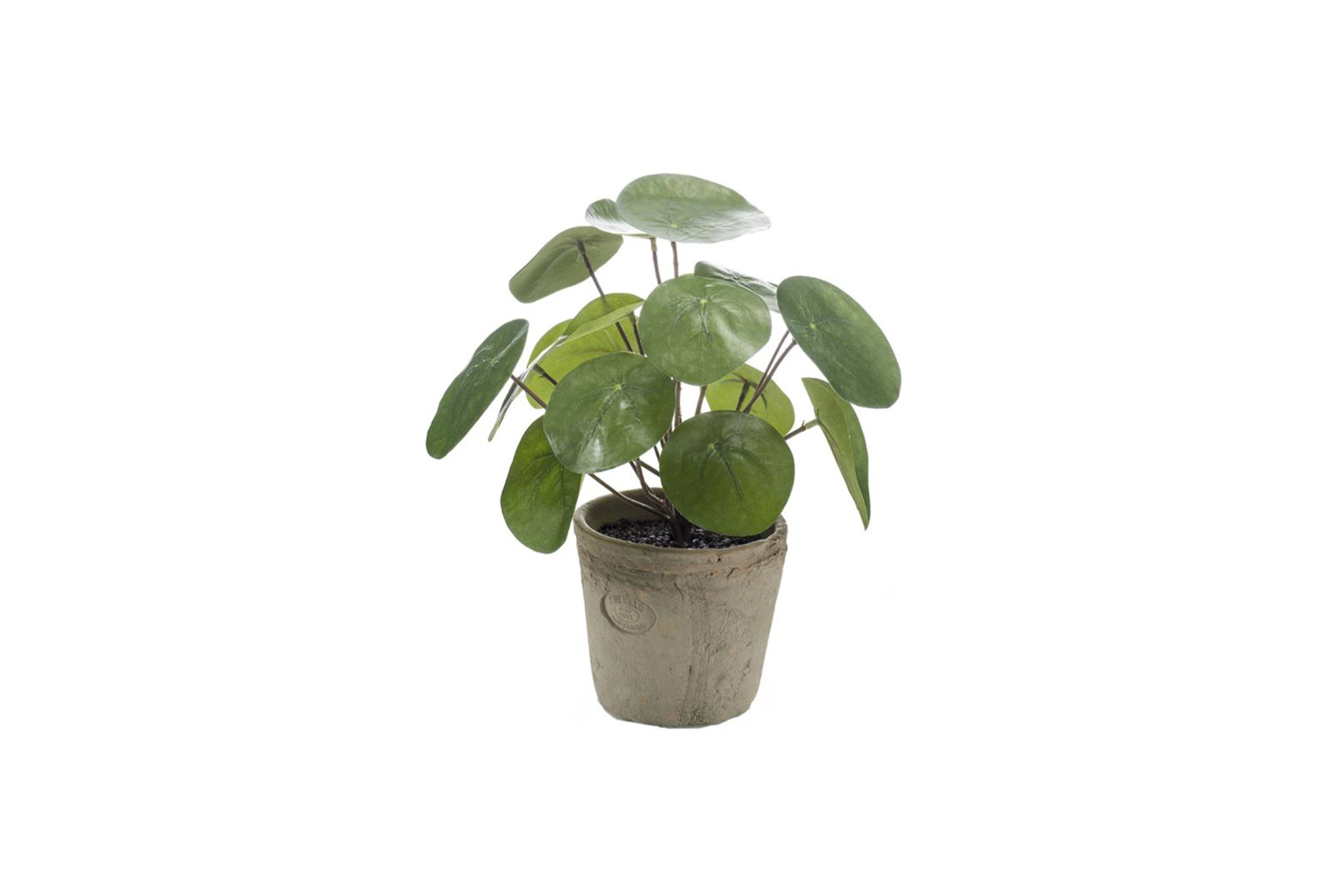 Artificial plant | Pancake plant H25