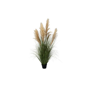 Kunstplant | Pampasgras crème H150