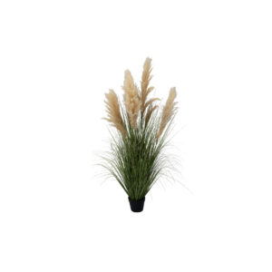 Kunstplant | Pampasgras crème H150