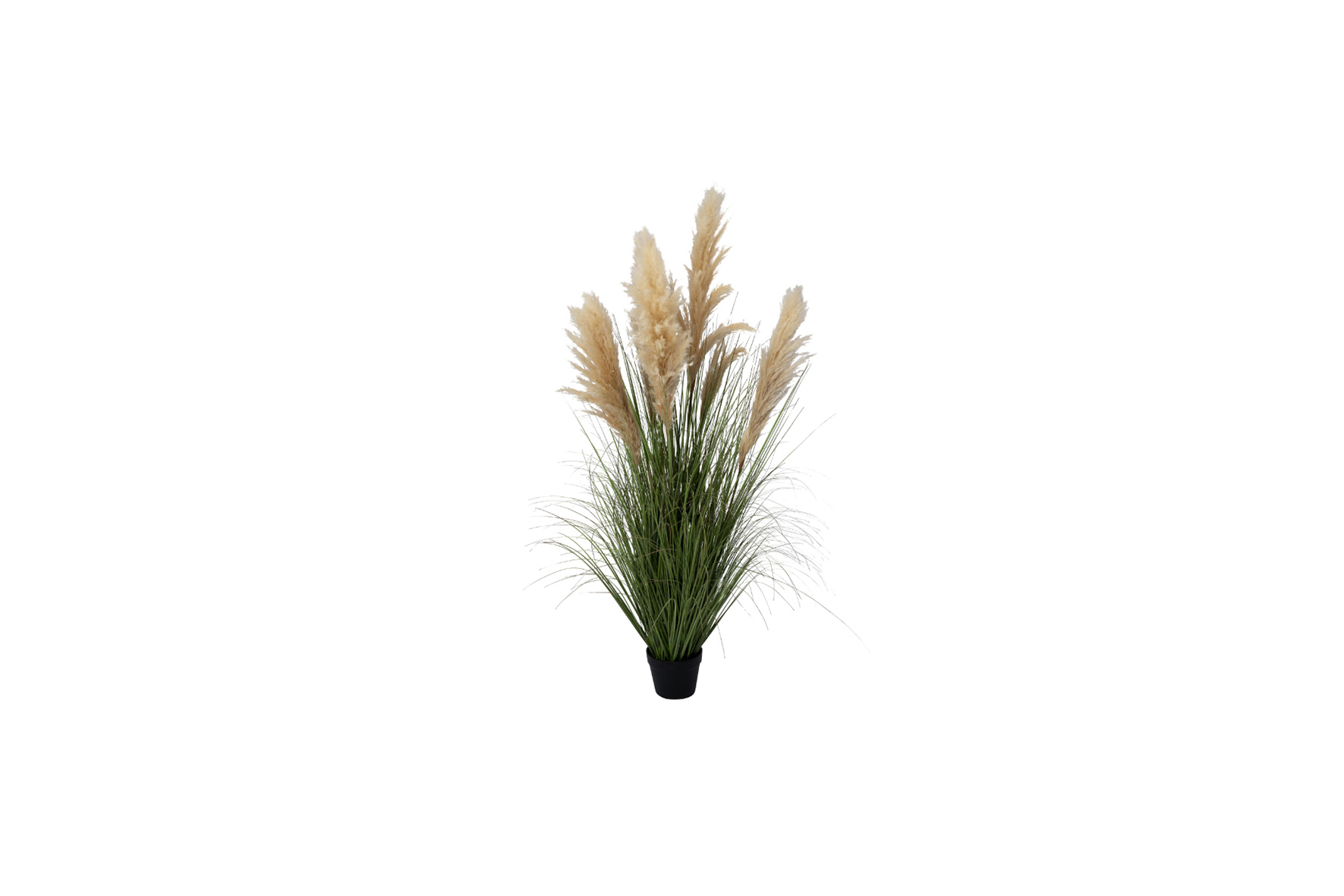Kunstplant | Pampasgras crème H150