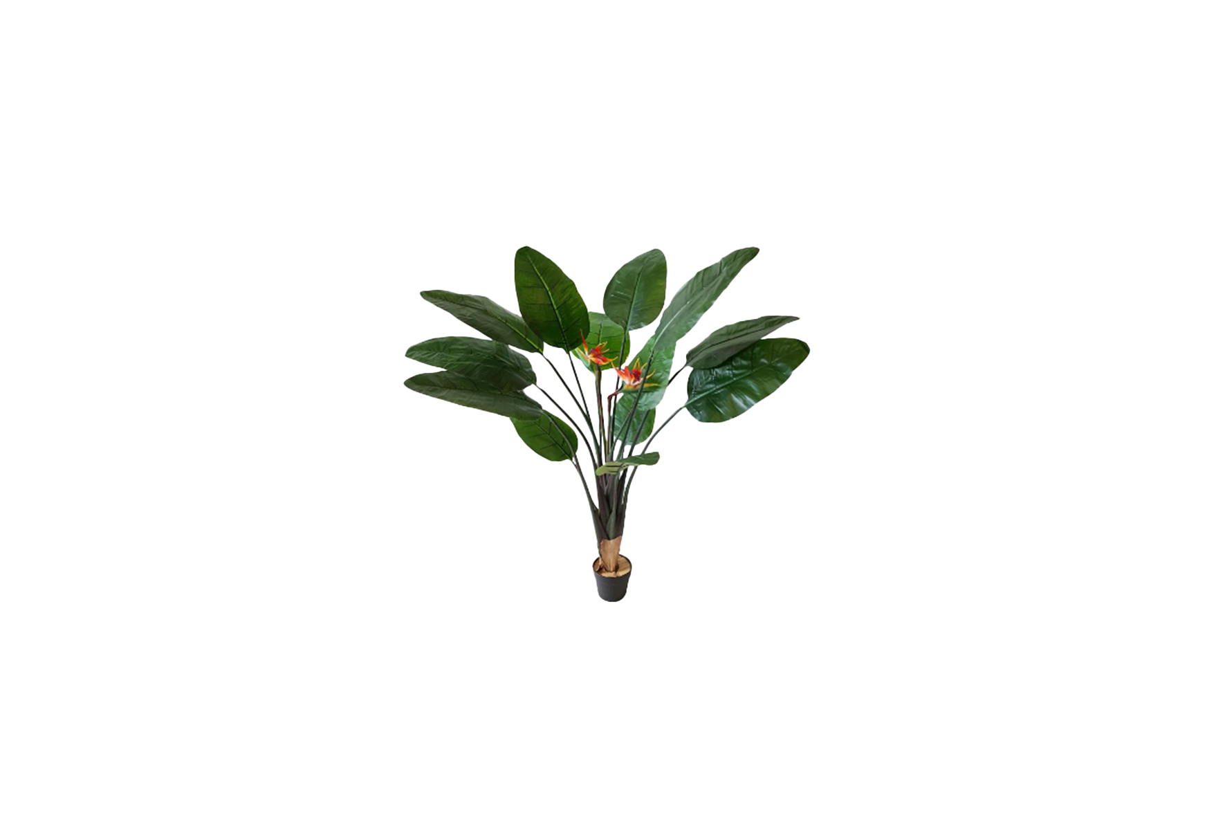 Artificial Plant | Strelitzia H140