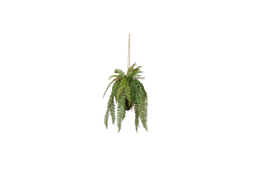 Artificial plant | Fern hanging L30xW30xH58