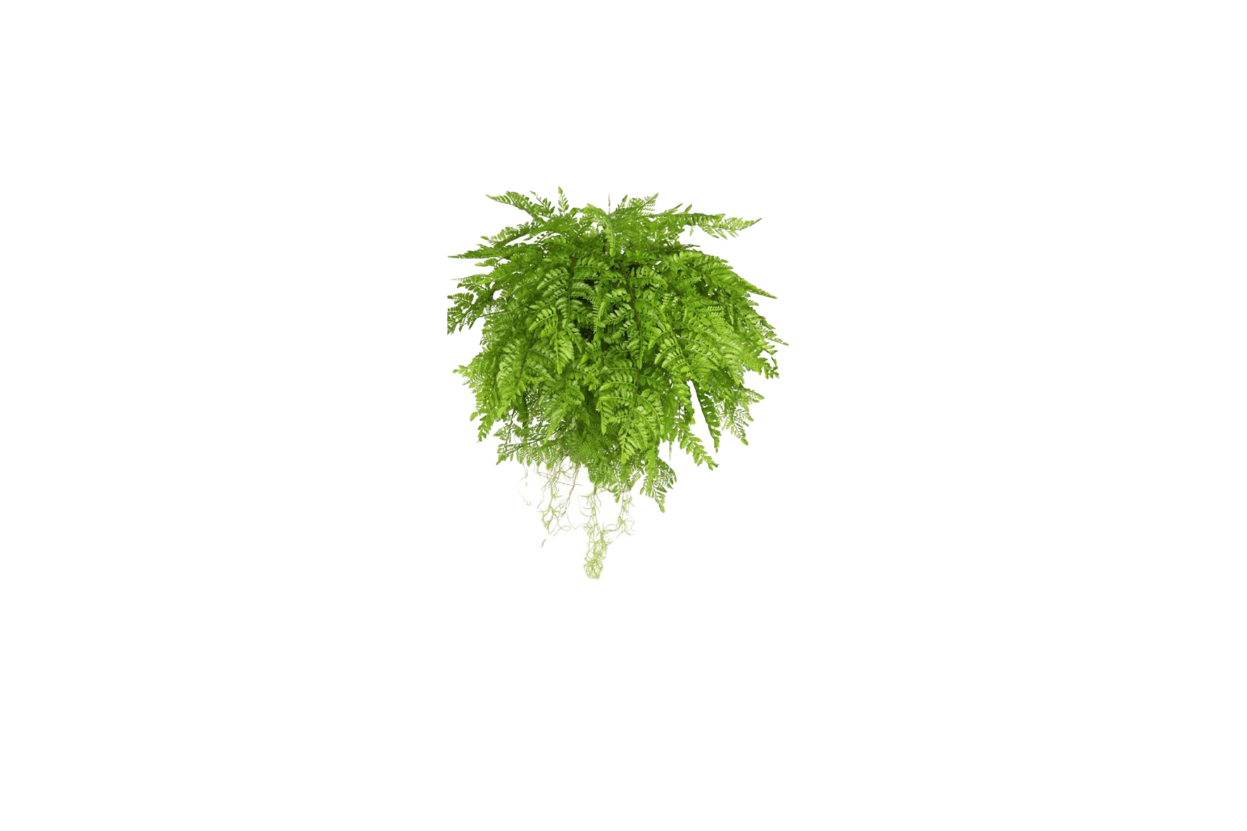 Artificial plant | Fern hanging plant with roots Ø55