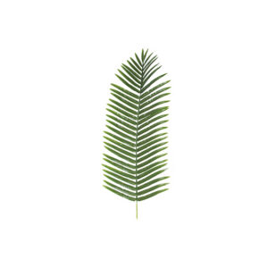 Kunstblad | Palmblad zijde L100