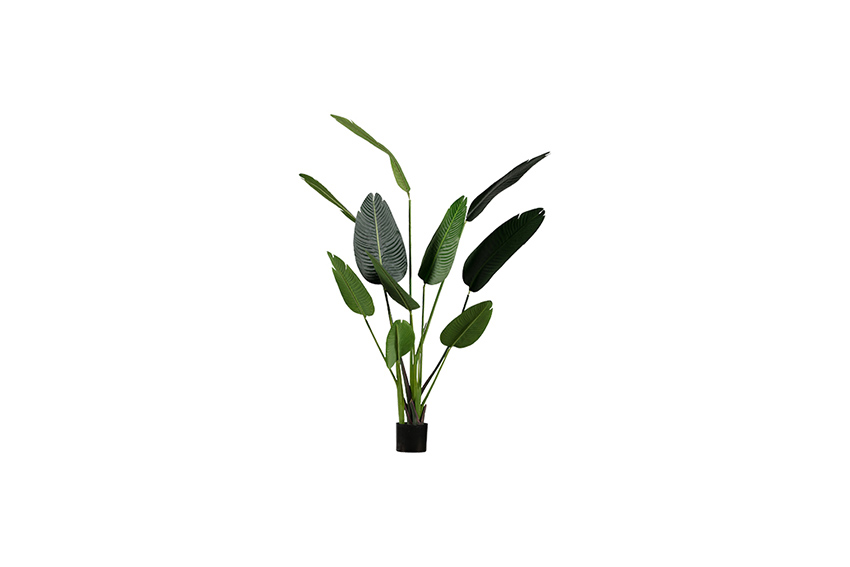 Artificial plant | Strelitzia 165cm